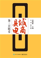 第三只眼看县域电商