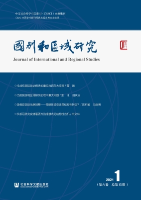 国别和区域研究（第六卷