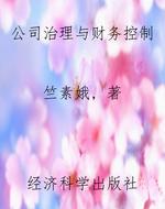 公司治理与财务控制