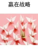 赢在战略