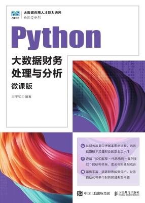 Python大数据财务处理