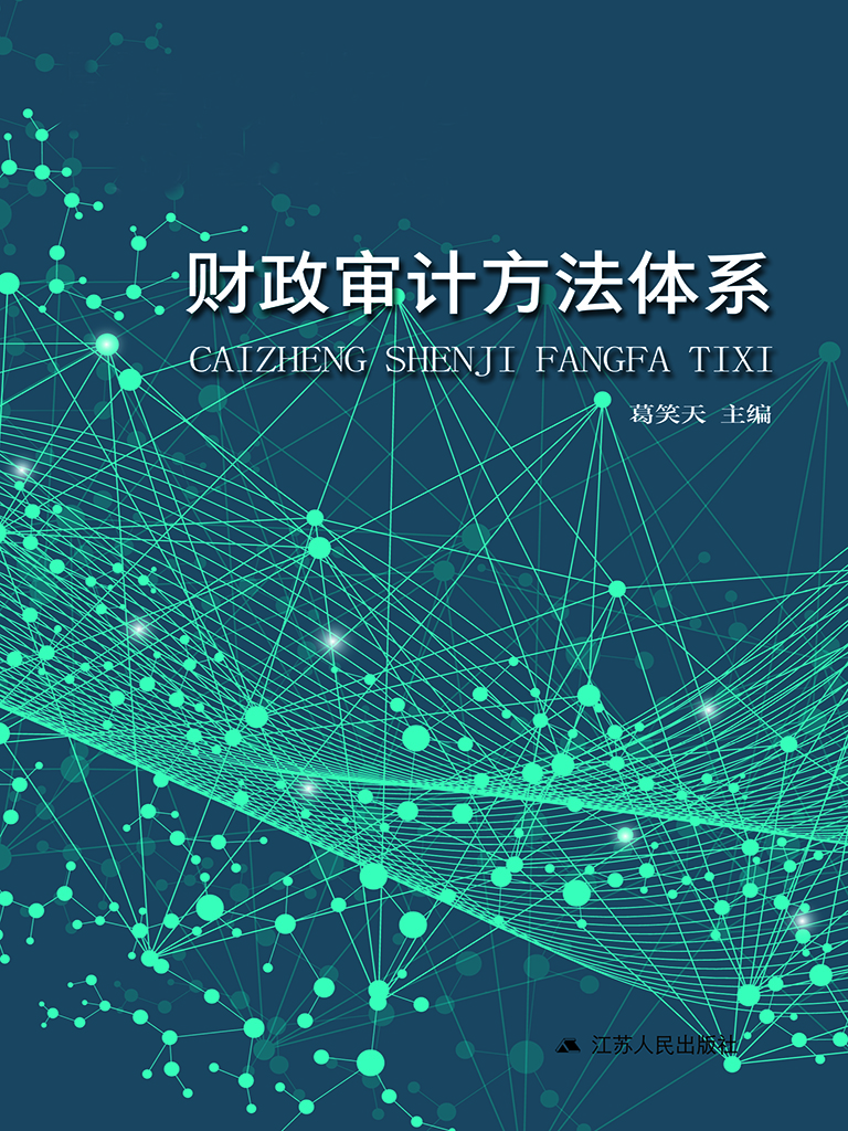 财政审计方法体系