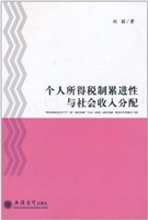个人所得税制累进性与