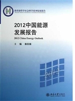 2012中国能源发展报告