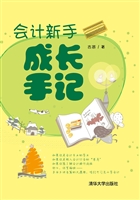会计新手成长手记