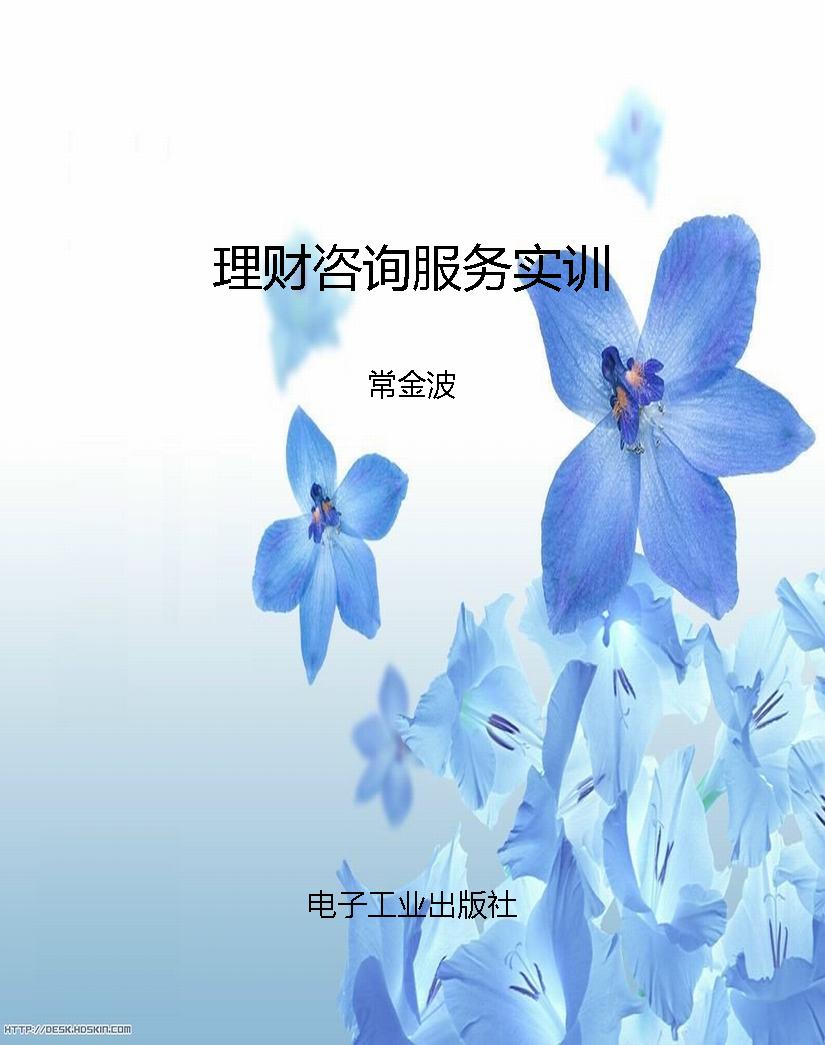 理财咨询服务实训