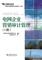 电网企业营销审计管理