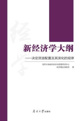 新经济学大纲——决定