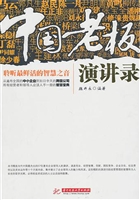 中国老板演讲录