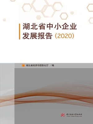 湖北省中小企业发展报