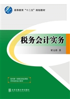 税务会计实务