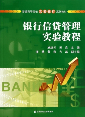 银行信贷管理实验教程