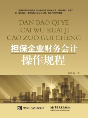 担保企业财务会计操作