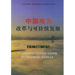 中国电力改革与可持续