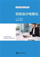 初级会计电算化
