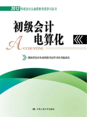 初级会计电算化