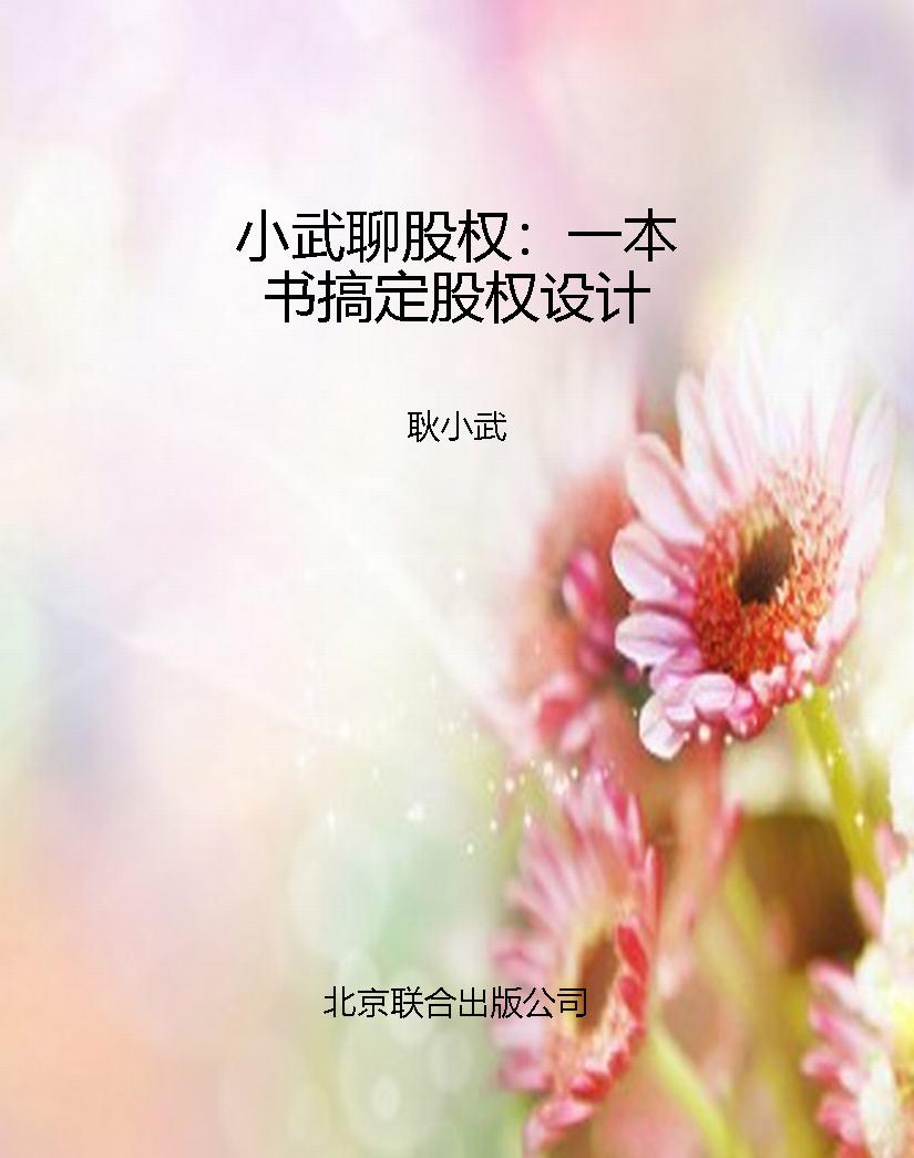 小武聊股权：一本书搞定