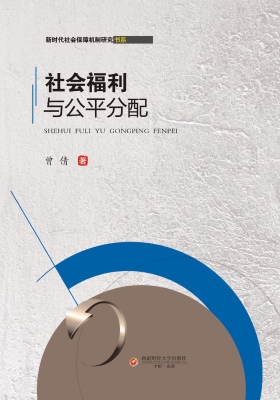 社会福利与公平分配