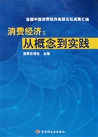 消费经济：从概念到实践