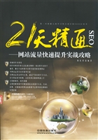 21天精通SEO——网站
