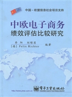 中欧电子商务绩效评估