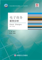 电子商务案例分析