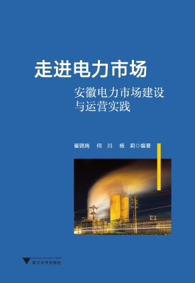 走进电力市场——安徽