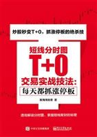短线分时图T+0交易实