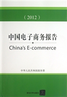 中国电子商务报告（2012