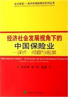 经济社会发展视角下的