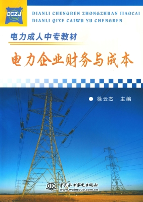 电力企业财务与成本