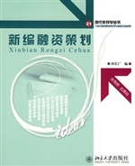新编融资策划