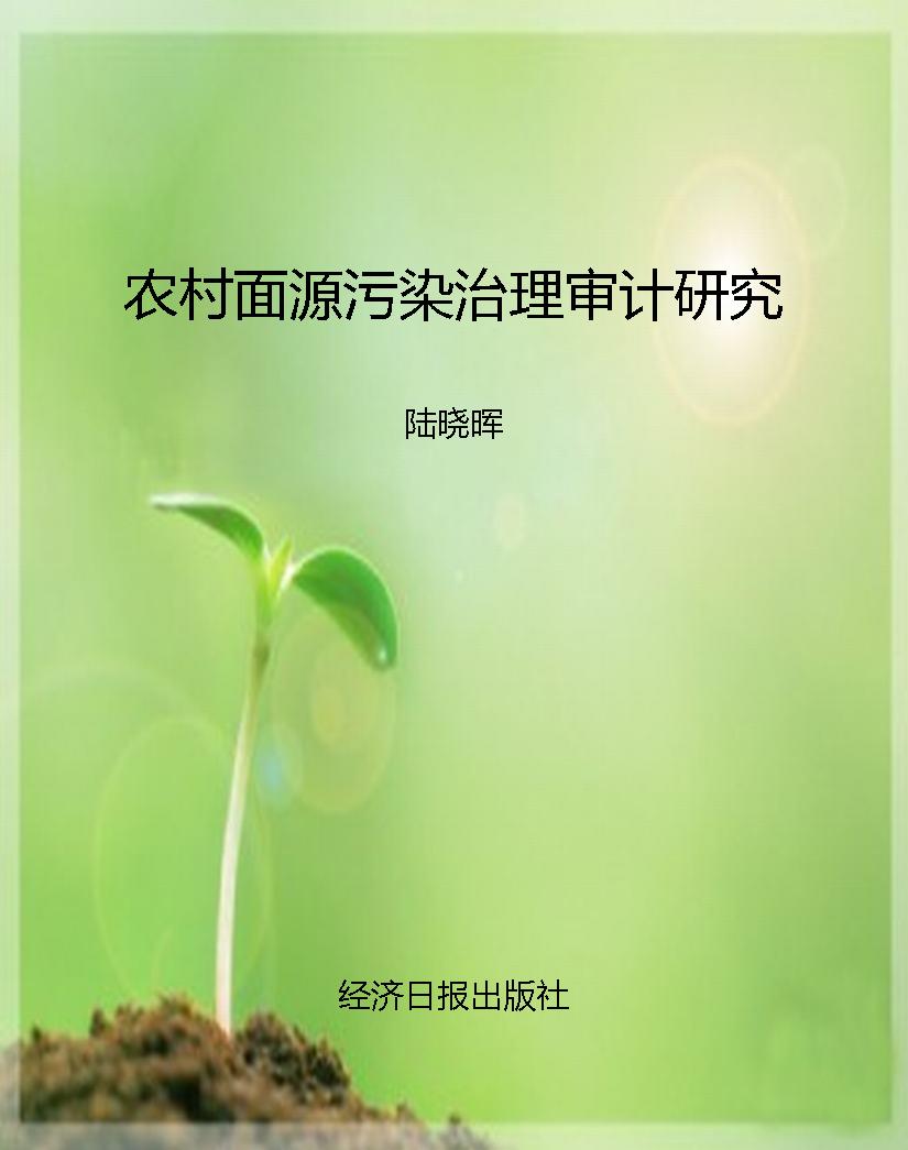 农村面源污染治理审计