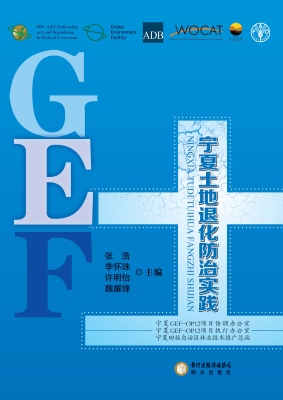 宁夏土地退化防治实践