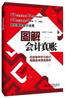 图解会计真账