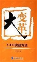 大变革———CIO 实战