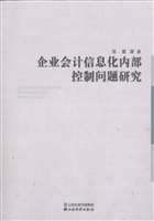 企业会计信息化内部控