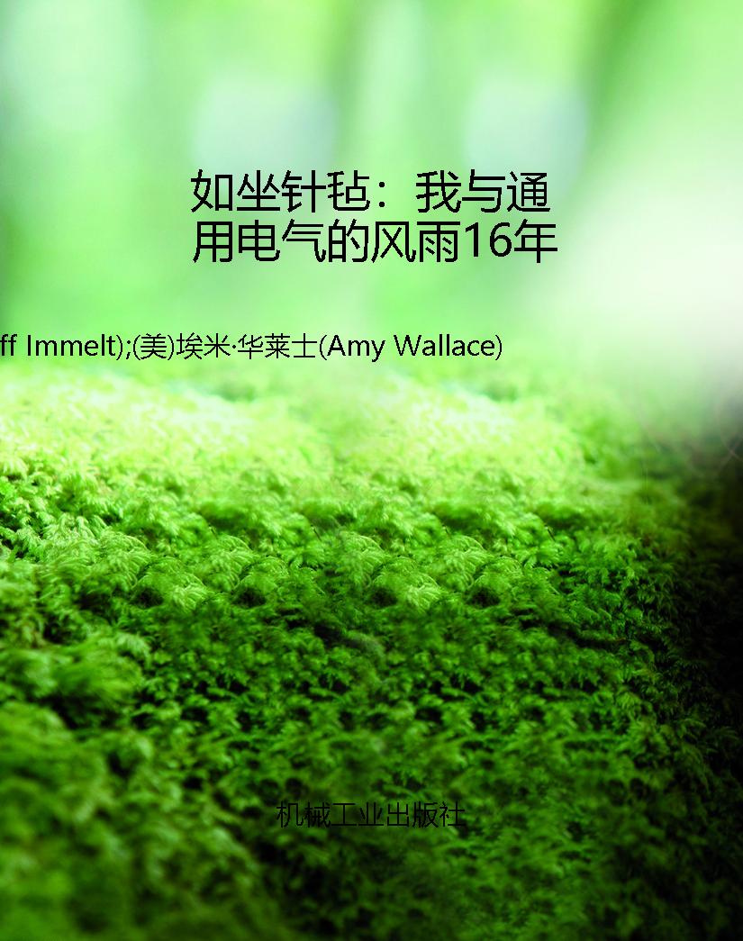 如坐针毡：我与通用电气