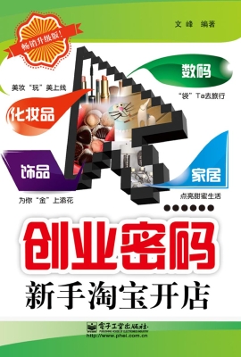 创业密码——新手淘宝