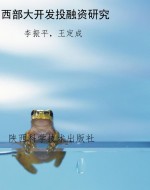 西部大开发投融资研究