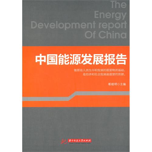 中国能源发展报告