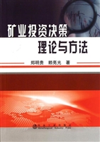矿业投资决策理论与方