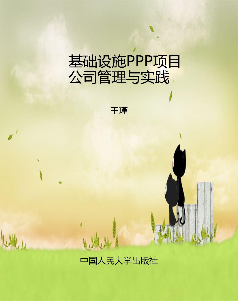 基础设施PPP项目公司