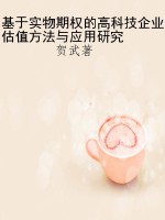 基于实物期权的高科技