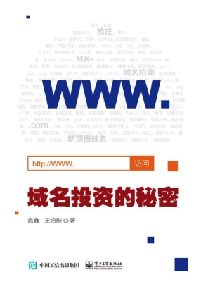 域名投资的秘密