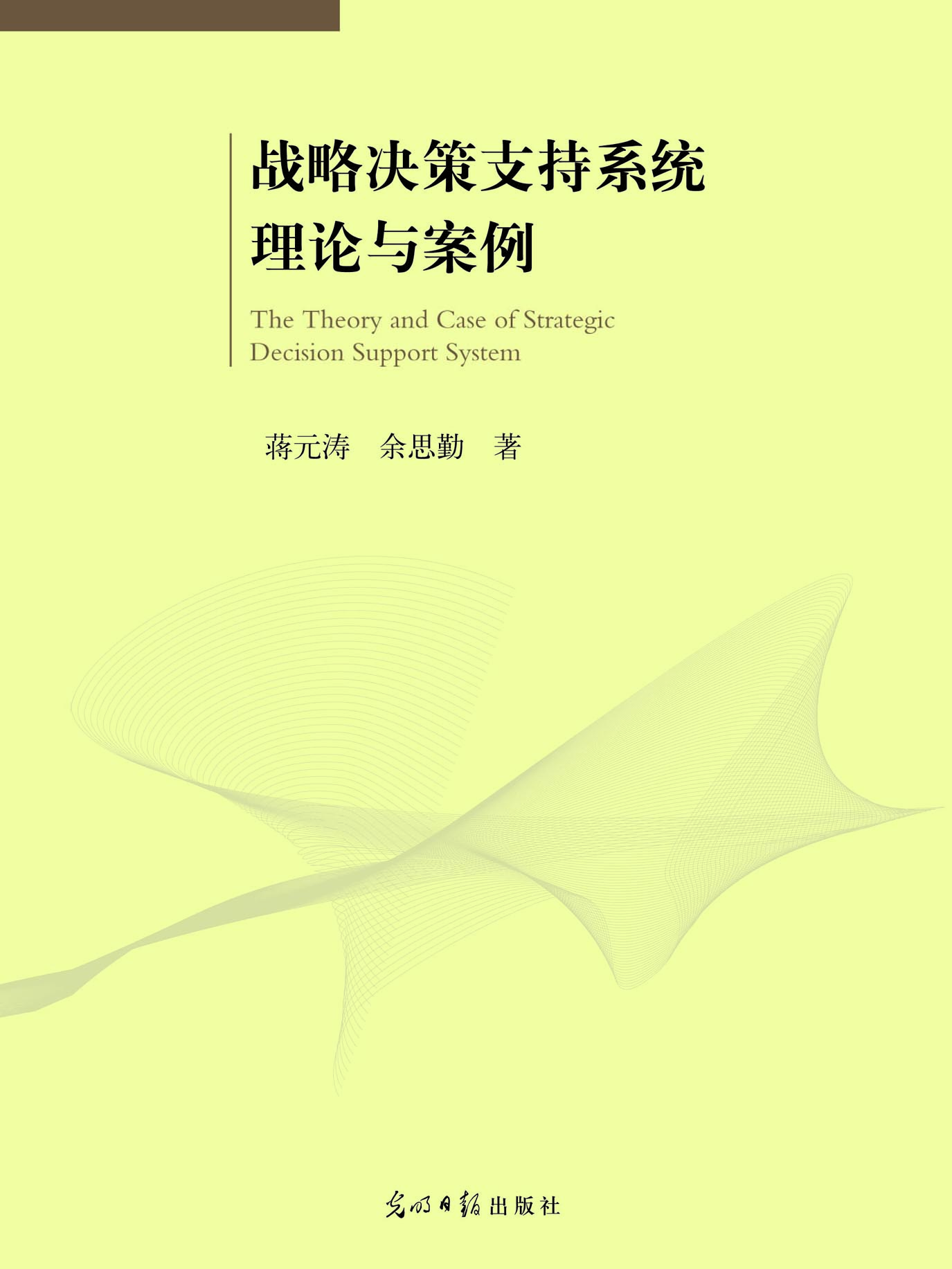 战略决策支持系统理论