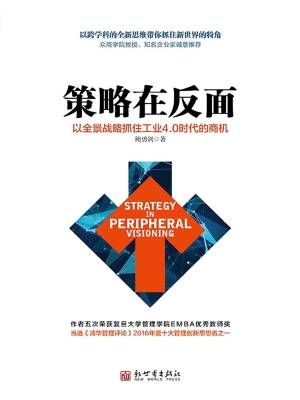 策略在反面——以全景