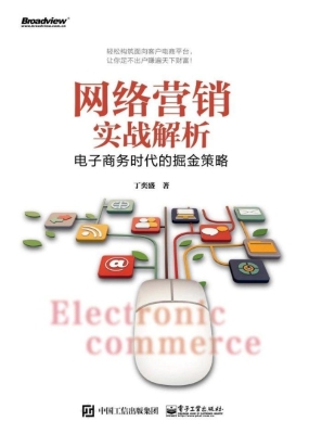 网络营销实战解析——