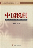 中国税制