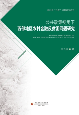 公共政策视角下西部地